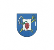 main_image