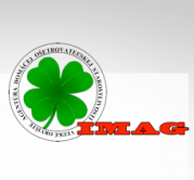 main_image